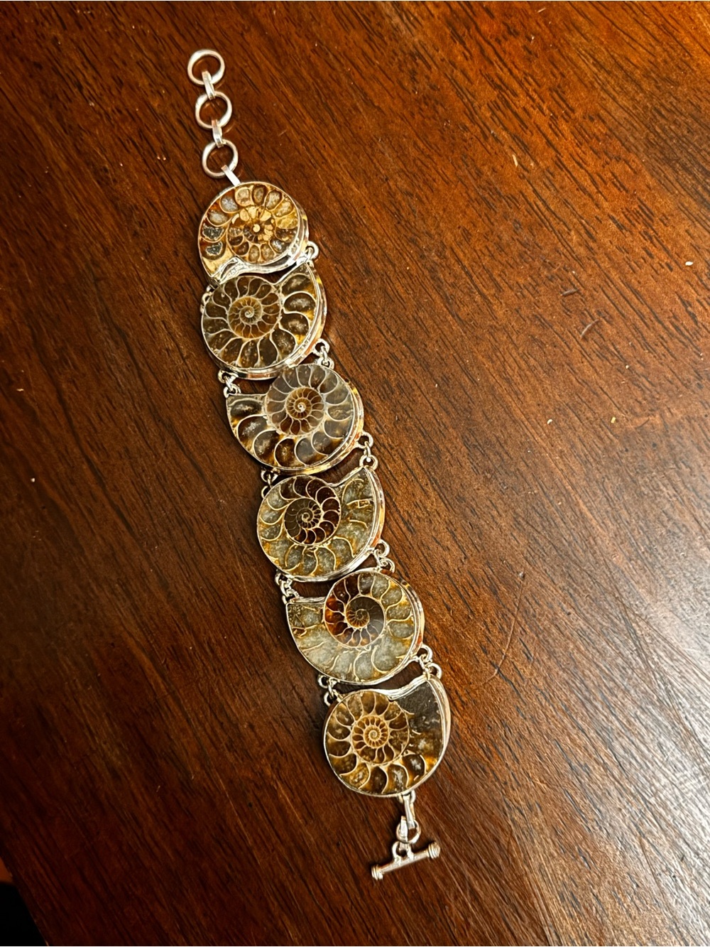 Fossil Ammonite Link Bracelet in Brown and Silver